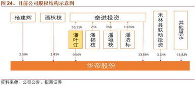 华帝股份，厨卫巨头的创新与蜕变之路——深度解析002035的市场地位与未来发展