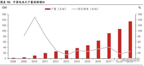 深度解析，300100双林股份，行业引领者与未来潜力股的交织