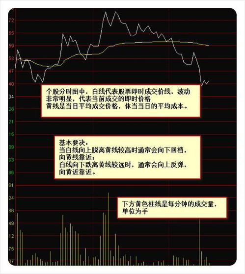 股票颜色代码解读，绿色与红色的金融语言密码