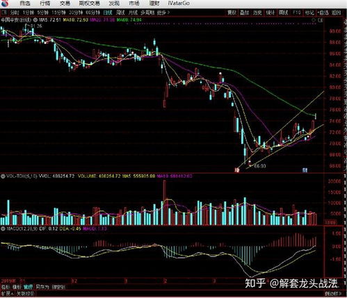 深度解析，000419股票的投资价值与市场走势分析