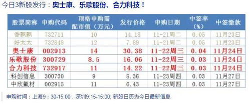 11月新股申购指南，市场趋势与投资策略深度解析