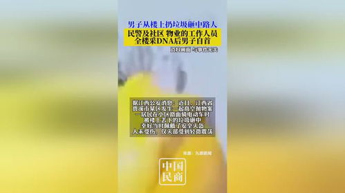 高空抛物伤人全楼查DNA后男子自首背后的警示