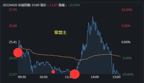 深度解析，华润双鹤股票，稳健经营与市场机遇的交织