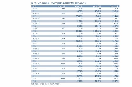 股东权益报酬率，衡量企业价值与效率的晴雨表