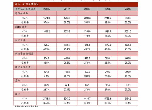 股东权益报酬率，衡量企业价值与效率的晴雨表