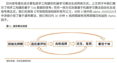 探析回落，金融市场的微妙信号与应对策略