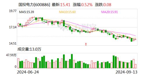 国投电力控股股份有限公司，引领能源转型的稳健力量