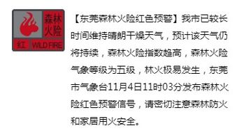 原始人一句话没说，卖出近250万元——揭秘成功的奥秘