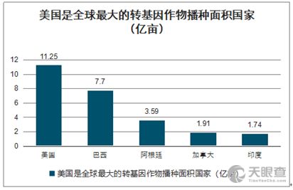 深度解析，雅化集团股票的崛起与投资前景分析