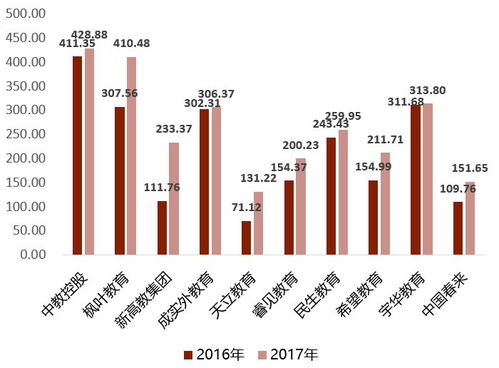 深度解析，雅化集团股票的崛起与投资前景分析