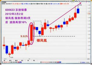 全面解读，掌握K线图基础知识，洞悉金融投资密码