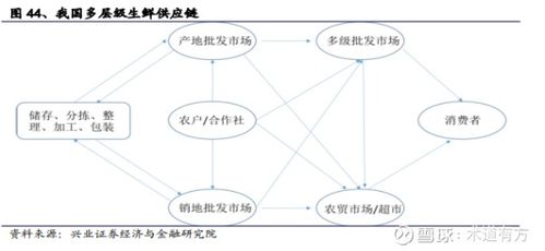 深度解析，永辉超市股票的崛起与未来展望——从供应链管理到数字化转型的零售巨头剖析