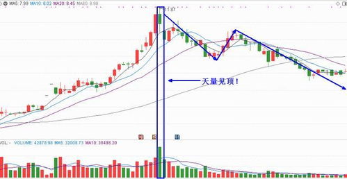 深度解析，通宝能源股票的机遇与挑战——投资策略与前景展望