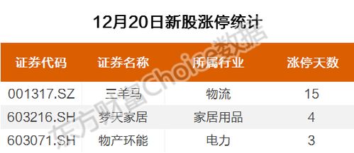 深度解析，探秘美锦能源股吧——投资者的财富乐园与投资策略指南