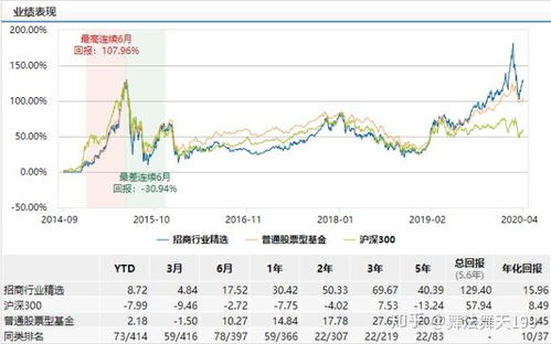 股票型基金，投资理财的新趋势与深度解析