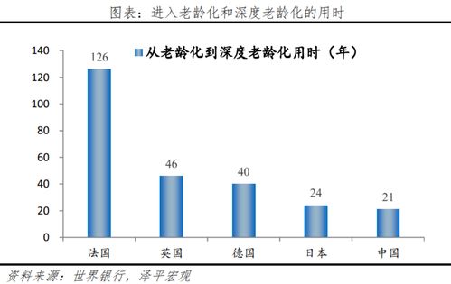 南方基金，稳健投资的稳健选择——探析其安全性