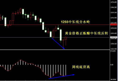 深度解析，纸白银行情分析——探析当前金融市场的风向标