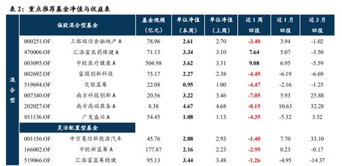 探究中金所持仓数据背后的市场力量与投资策略