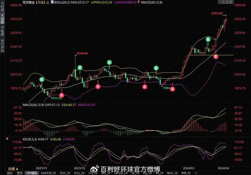 国内金价实时行情深度解析，市场波动与经济风向的映射