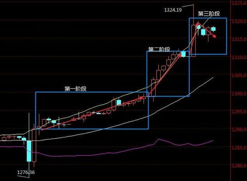 国内金价实时行情深度解析，市场波动与经济风向的映射