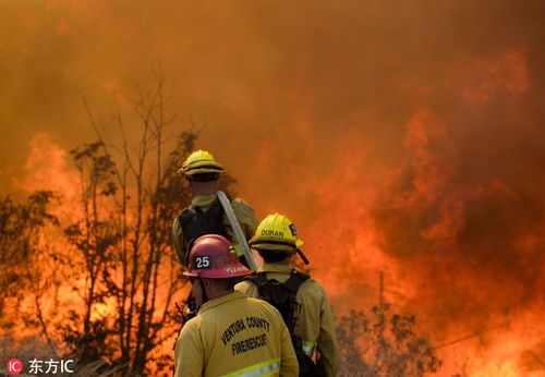 天津蓟县私人飞机灭火事件真相，谣言背后的真相