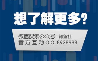 股票交流QQ群，投资者的智慧港湾与知识海洋