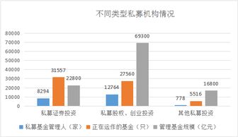 阳光私募基金，新时代的投资引擎与财富管理新趋势