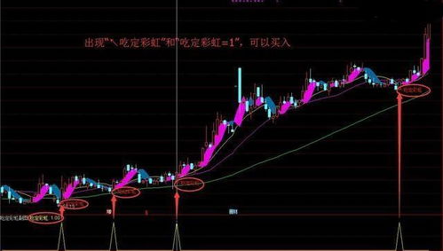 彩虹股份股票，色彩斑斓的投资之旅