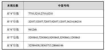 荣耀与希望，深度解析和辉光电中签号背后的市场力量与投资机遇