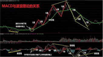 深度解析，股票002566——探索价值与机遇的交响曲