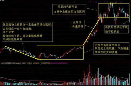 深度解析与投资指南，探秘300053股票的市场表现与投资策略