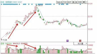 深度解析，换手——金融市场的独特语言与策略