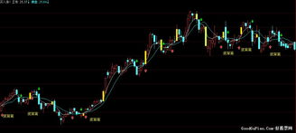 探寻股市宝典，揭秘最好的股票分析软件