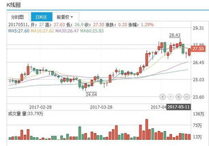 深度解析，天地源股票的投资价值与市场趋势探析