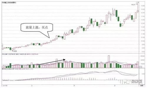 沧州市明珠今日股价深度解析与展望——投资者必看指南