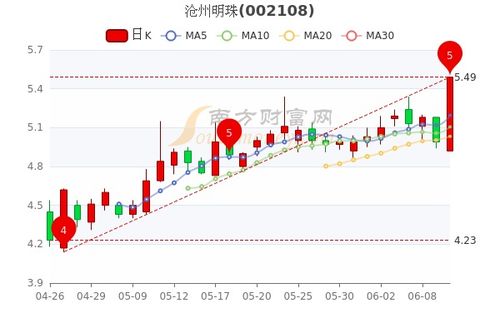 沧州市明珠今日股价深度解析与展望——投资者必看指南