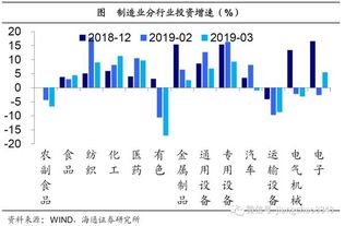 基因芯片技术引领未来，投资策略与概念股深度解析