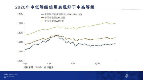 深度解析，银华88基金净值波动背后的投资策略与市场解读