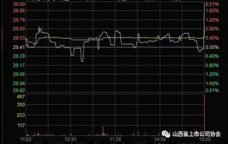 深度解析，探秘000717股票的投资价值与市场动态