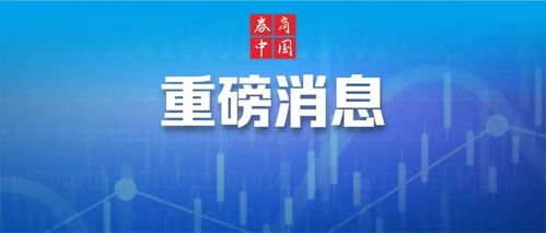 探析宏源证券，中国资本市场的重要力量与转型之路