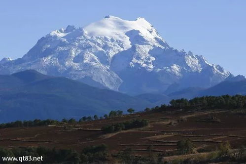 哀牢山中的惊魂记，男子独闯山林遭遇凶兽的真实回应