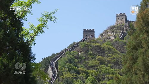 哀牢山中的惊魂记，男子独闯山林遭遇凶兽的真实回应