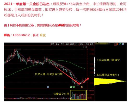 挖掘行业龙头股，引领市场风向与投资策略深度解析