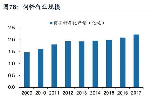 深度解析，九鼎新材，从行业风口到价值洼地——股吧里的探索与投资启示