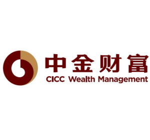 中国证券金融股份有限公司，构建新时代金融稳定的新引擎