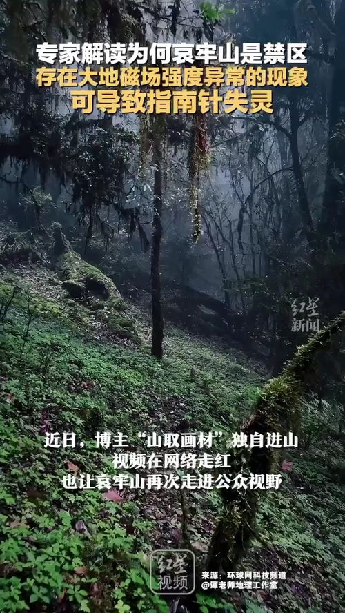 哀牢山大地磁场强度异常现象研究