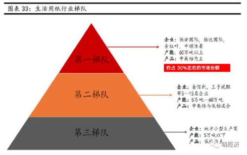 深度解析，中顺洁柔，稳健成长中的生活用纸巨头——投资视角