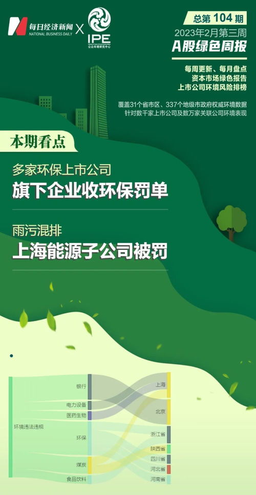 上海能源股票，绿色转型下的投资机遇与挑战