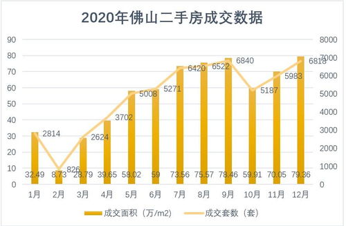 沪市过户费调整，市场新动向与投资者解读