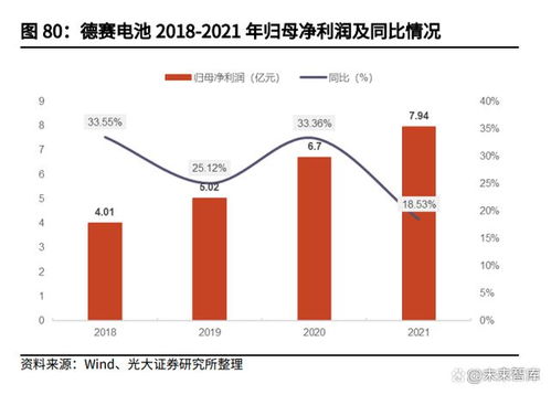 深度解析，德赛电池——行业领军，投资前景展望